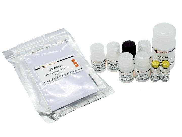 Rat IL-10 ELISA Kit